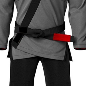 Chemise d'uniforme de Kung Fu pour homme, grise avec détail de ceinture rouge, vêtement d'arts martiaux - Product Image 5