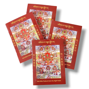 Servicio de Impresión de Folletos Personalizados - Impresión de Folletos y Libros de Tapa Blanda a Todo Color, Folletos Religiosos/Empresariales, Venta al Por Mayor OEM - Product Image 5