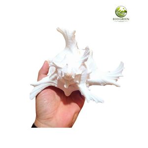 เครื่องประดับเปลือกหอยธรรมชาติขัดเงา ลายดอกไม้สีขาวชมพู สำหรับตกแต่งบ้าน - Product Image 6