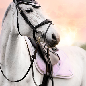 Juego de sudaderos personalizables para montar a caballo, de tela premium, duradera y cómoda, productos ecuestres para equitación. - Product Image 6
