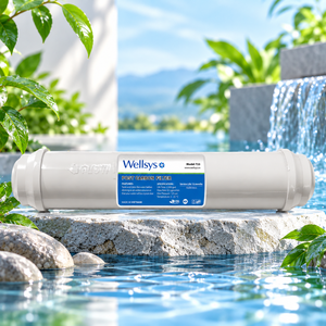Wellsys T33 Cartucho de Filtro de Agua de Carbón Activado en Línea de 10 Pulgadas, Filtro de Repuesto para Sistemas de Ósmosis Inversa - Product Image 6