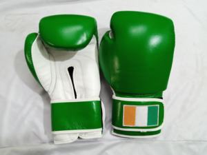Gants de Sparring en Cuir Professionnels 2026 pour Entraînement Personnalisé de Kickboxing pour Adultes et Enfants – Gants de Boxe en Cuir par Waseem Impex - Product Image 1