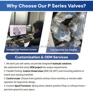 Válvula de Control Móvil Hidráulica P40-2 de Hierro Fundido de 5000 Psi para Montacargas, Rajadora de Troncos y Tractor - Product Image 4