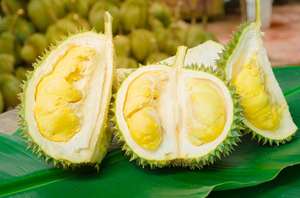 Vietnam alta calidad IQF Durian rico sabor textura suave para la industria de bebidas de postres congelados Precio de competencia 99 DATOS DE ORO - Product Image 6