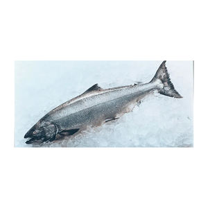 Salmón del Atlántico fresco y congelado/Salmón entero congelado/Cabeza de salmón en venta - Product Image 3