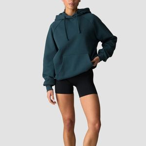 Sweat-shirt à capuche unisexe surdimensionné en molleton de coton, personnalisable avec logo, écologique, vierge, OEM ODM, vente en gros, couleur unie, haute qualité - Product Image 1