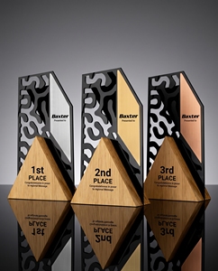 Custom Acrylic Award <b>Trophy</b> - Transparent Recognition & Appreciation <b>Plaque</b> with Wood Base for Corporate Events & Advertising - Product Image 6