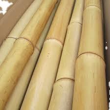 Bastón de bambú de alta calidad Material de bambú natural ecológico al por mayor de Vietnam Exportación directa de fábrica - Product Image 3