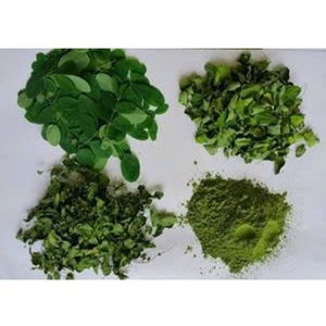 ชาเพื่อสุขภาพ อายุการเก็บรักษา 24 เดือน 10 กก. พรีเมียม ใบมะรุมเวียดนาม 100% บรรจุภัณฑ์สุญญากาศ ชาแห้งแบบใบ - Product Image 1