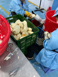Dés de Taro Congelés IQF du Vietnam – Fabricant de Cubes de Taro Congelés pour la Restauration et les Usines - Product Image 3