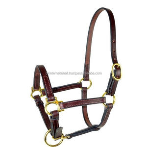 Licol en cuir de qualité supérieure, solide, design personnalisé, solide et Durable, en finition brune, double couture avec quincaillerie en laiton massif - Product Image 3