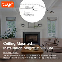 Détecteur de chute intelligent Tuya WiFi 60G à radar à ondes millimétriques, capteur de présence humaine à montage au plafond, alarme pour les soins aux personnes âgées et les maisons de retraite