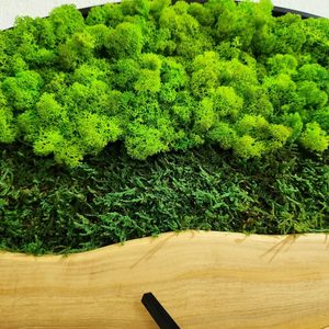 Moss Wood Grain Wall <b>Clock</b> Natural Rustic Green Moss Decor Handmade Wooden Round <b>Clock</b> Evergreen Woodland Moss Wall <b>Clock</b> - Product Image 5