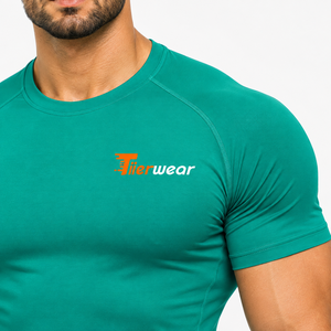 <b>Mens</b> Gym <b>Compression</b> Tee 210 GSM Polyester Spandex Breathable Stretch Workout Performance <b>Shirt</b> OEM Manufacturer - Product Image 5