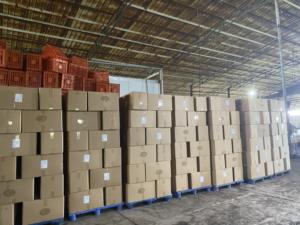 Auténtico Jaca Seca con Textura Crujiente, Snack de Fruta Naturalmente Dulce, Suministro a Granel para Distribución en el Mercado Internacional Hoy - Product Image 4