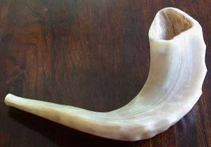 Shofar traditionnel en corne naturelle, instrument de musique courbé en corne de bélier, poli à la main, pour cérémonies religieuses, trompette de culte, festival - Product Image 2