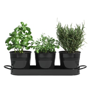 Maceta de flores de hierro galvanizado de forma redonda con bandeja Macetas y jardineras de jardín de metal recién llegadas disponibles al precio más bajo - Product Image 4