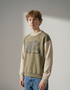 เสื้อสเวตเชิ้ตคอกลมทรงปกติ ยูนิเซ็กซ์ ผ้าฟลีซหนานุ่ม สีตัดต่อ ผสมโพลีเอสเตอร์/คอตตอน ระบายอากาศได้ดี ปรับแต่งได้ - Product Image 4