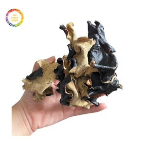 Champignons de l'oreille de bouddha séchés pour l'exportation, de forme uniforme et à faible taux de déchets - Product Image 4