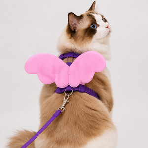 Butterfly Cat <b>Harness</b> OEM ODM Custom Logo Adjustable Soft Mesh Kitten <b>Harness</b> & Leash Set Direct Manufacturer - Product Image 2