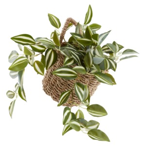 <b>Wall</b>-mounted seagrass <b>basket</b> with one handle Handmade <b>Storage</b> <b>Basket</b> Wholesale eco-friendly Made in Viet Nam - Product Image 3