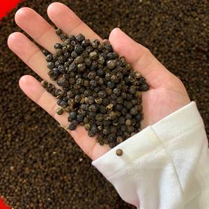 [Keith Vilaconic] Pimienta Negra Seca 500 G/L 100% Natural Origen Vietnam Precio de Exportación Competitivo Suministro Estable 24 Meses de Caducidad - Product Image 6