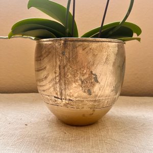 Maceta Moderna de Hierro, Contenedor Metálico Decorativo para Flores, Plantas, Hierbas y Arreglos de Suculentas - Product Image 3