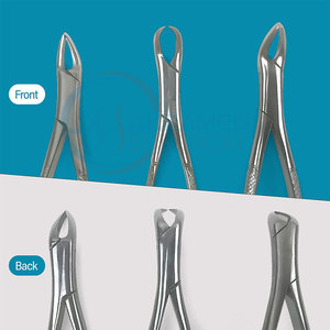 Pinzas de Extracción Dental de Precisión para Cuidado Higiénico Confiable, Pinzas de Extracción Dental de Calidad Confiable - Product Image 3