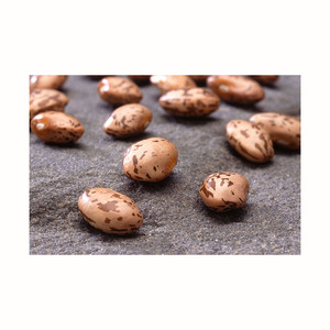 Haricots Pinto de la meilleure qualité en gros, à vendre à prix avantageux - Product Image 2