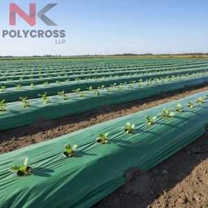 Toile de paillage écologique pour la culture de légumes, fruits et fleurs, toile de paillage pour la protection du sol dans les champs agricoles - Product Image 2