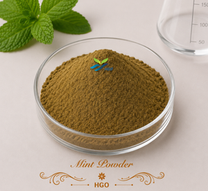 Suministro directo de fábrica de HGO de polvo de menta natural puro (grado alimenticio) Especificación polvo de hierbas (polvo de frutas o verduras) - Product Image 1
