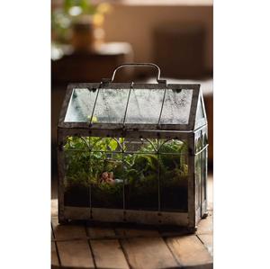 Terrarium unique en verre cristallin pour plantes succulentes, mousse ou plantes aériennes – Contenant artistique transparent pour une décoration intérieure moderne - Product Image 3