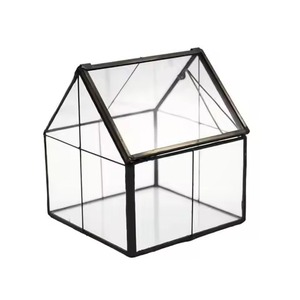 Terrarium moderne en métal et verre, support décoratif pour plantes, boîte de présentation pour jardin intérieur, décoration d'intérieur - Product Image 5
