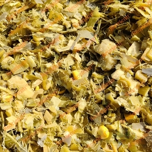 Ensilaje de Maíz de Alta Calidad para Alimentación de Vacas Lecheras, Ensilaje de Maíz Amarillo para Granjas de Ganado Vacuno y Compradores de Alimento para Animales a Granel - Product Image 6