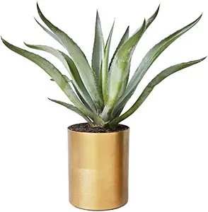 Ekici bölünmüş yumuşak ve fırçalanmış Finishh yuvarlak dekoratif Metal Pot Succulents kaktüs bitkiler ve çiçekler