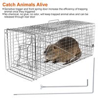 Piège à animaux vivants pliable en fil de fer galvanisé pour attraper les rongeurs, les ratons laveurs, les castors, les renards - Fournitures pour petits animaux