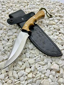 Couteau de chasse Jexa 4116 en acier inoxydable, lame fixe, couteau à dépecer pour le camping, bord partiellement dentelé, manche en bois d'olivier, étui en cuir - Product Image 6