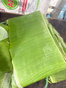 Feuilles de banane congelées de qualité supérieure, vertes et tropicales, pour l'emballage alimentaire traditionnel – Vente en gros mondiale de feuilles de banane congelées - Product Image 5