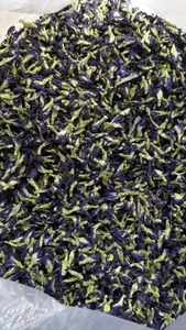 Fabricante de Flores Secas de Guisante Mariposa de Vietnam, Venta al por Mayor, Suministro a Granel, OEM, Etiqueta Privada, Empaque Personalizado para Bebidas de Té - Product Image 5