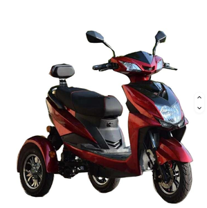 Tricycle électrique haut de gamme pour adultes avec marchepied arrière en alliage d'aluminium de luxe - Product Image 1