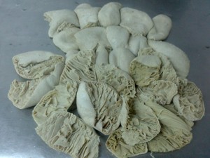 Omasum de bœuf salé et séché 2026 / Omasum de bœuf salé et séché, congelé et frais / Omasum de viande de bœuf, Omasum de haute qualité Autriche Pas Cher - Product Image 3