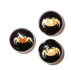 <b>Crab</b> Real Specimen Plastic Cabochon Round 25x25 mm Black Flat Bottom for Crafts and Jewelry Making - Product Image 5