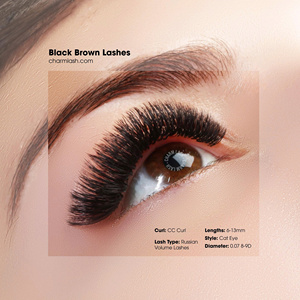 Charmlash <b>Lashes</b> Wholesale Mink With Packaging <b>Brown</b> Cc Curl 0.3 <b>Lashes</b> Mink Eyelashes <b>Extension</b> Deep Black 0.03 0.05 0.07 - Product Image 6