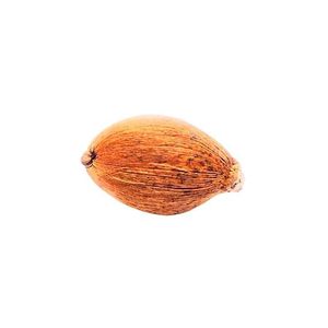 Laghu Nariyal pour Pooja, lot de 5, Laghu Shriphal en noix de coco naturelle originale de petite taille pour Mahalaxmi Puja, Kuber Puja, Havan - Product Image 5