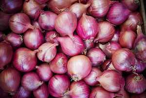 Proveedor y Exportador de Cebolla Roja Orgánica, Venta al Por Mayor, Exportación a Granel desde Austria, 6 Meses de Vida Útil, Alta Calidad, Gran Stock, Envío Rápido - Product Image 2