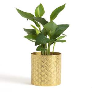Magnífico Florero Metálico para Centro de Mesa con Elegancia de Diseño - Product Image 1