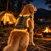 Harness Anjing LED dengan Lampu Tepi LED, Jahitan Nylon yang Diperkuat, Ring Logam, untuk Jalan-Jalan di Luar Ruangan, Tahan Terlihat di Malam Hari, Pasokan Grosir Qcool