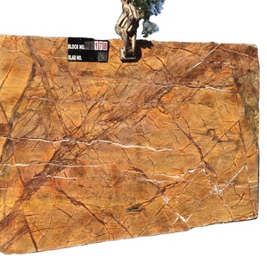 Losas y Azulejos de Mármol Dorado de la Selva Tropical, Pulidos, de Primera Calidad, Diseño Moderno de la India, Alta Resistencia, para Encimeras y Pisos de Hoteles y Villas - Product Image 4