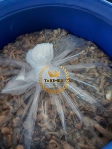 Pajitas de arroz cultivadas con champiñones secos salados veganos de alta calidad para alimentos saludables o procesamiento de pizza cruda - Product Image 6