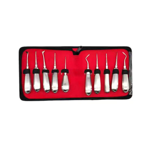 Ensemble professionnel de 10 élévateurs dentaires en acier inoxydable réutilisables, instruments orthodontiques manuels pour l'extraction dentaire - Product Image 1